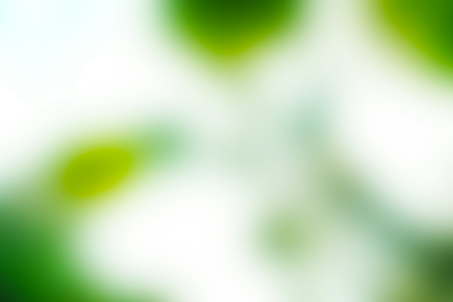 Fondo abstracto de hojas verdes y blancas desenfocadas.